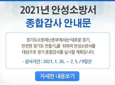 20210111_안성_종합감사안내문_팝업