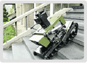 Autonomous Robot for Image Detection